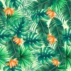 Tropical
