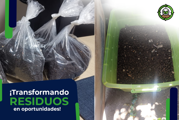 Transformando residuos en oportunidades: Nuestra compostera